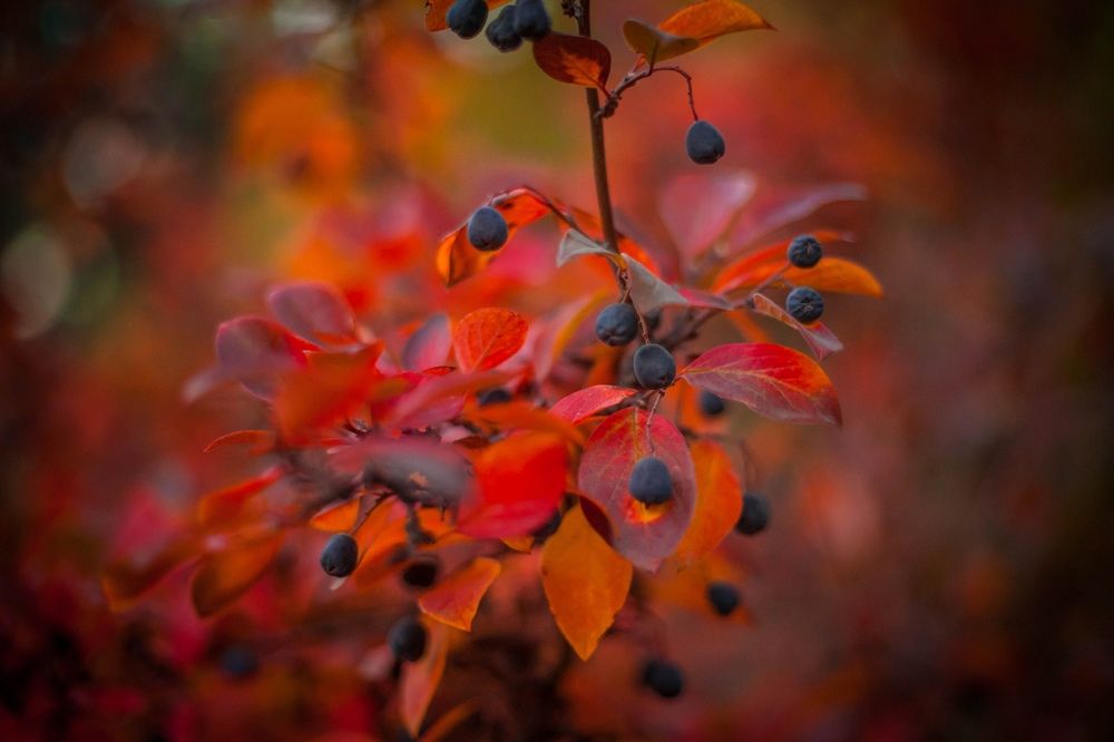 Фотография автора Ivan Karpoff