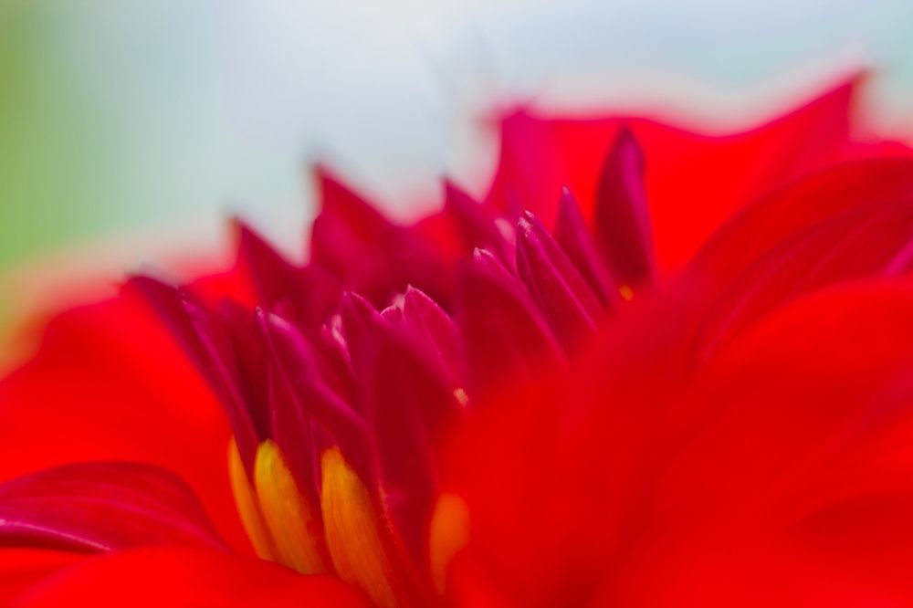 Фотография автора Ivan Karpoff