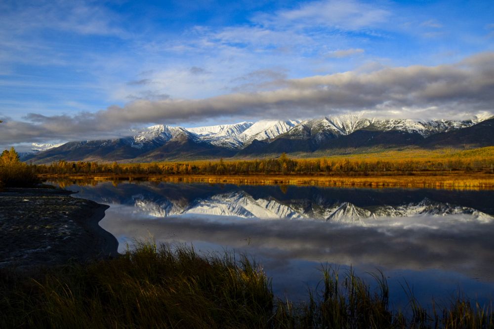 Фотография автора Марина Корреа Ластра