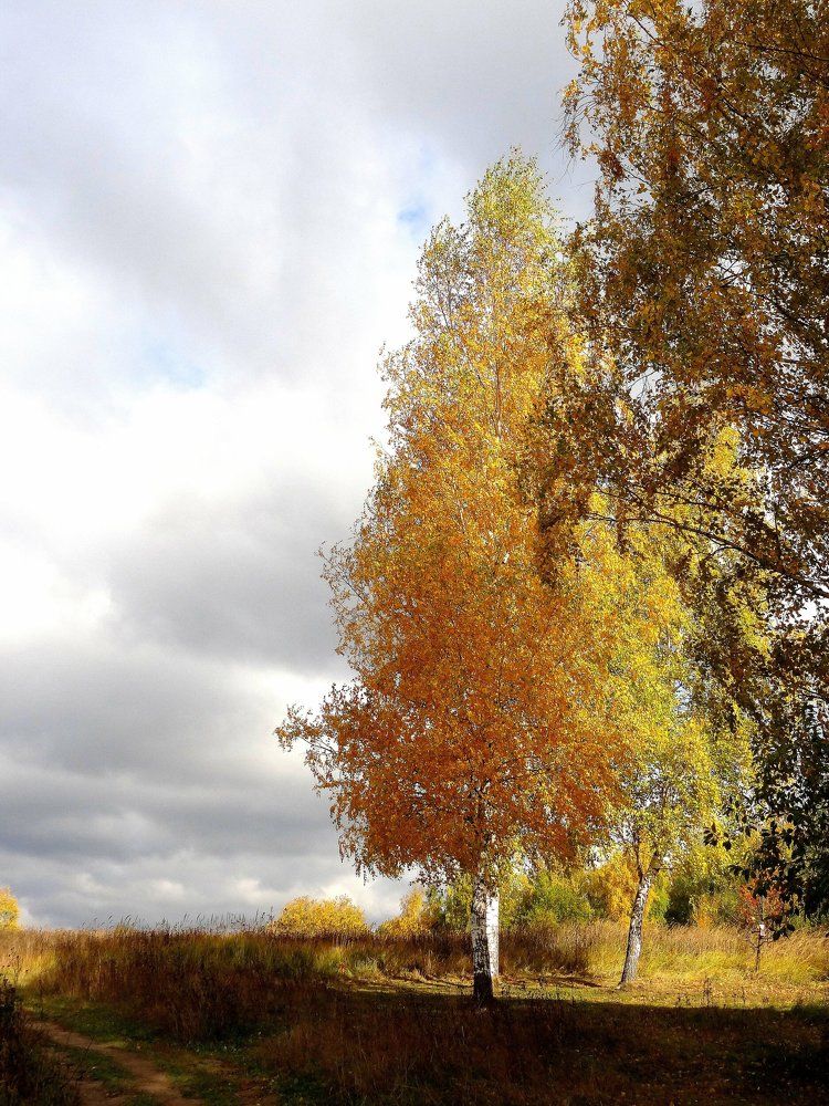 Photograph by Роман Туркин