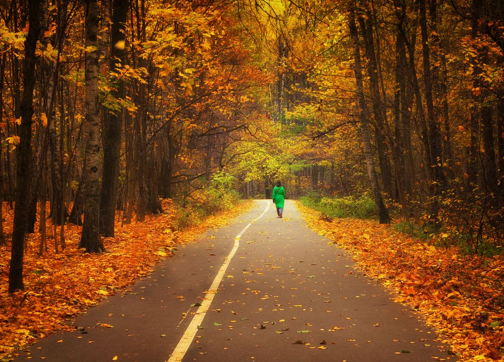Фотография автора Ольга Попова