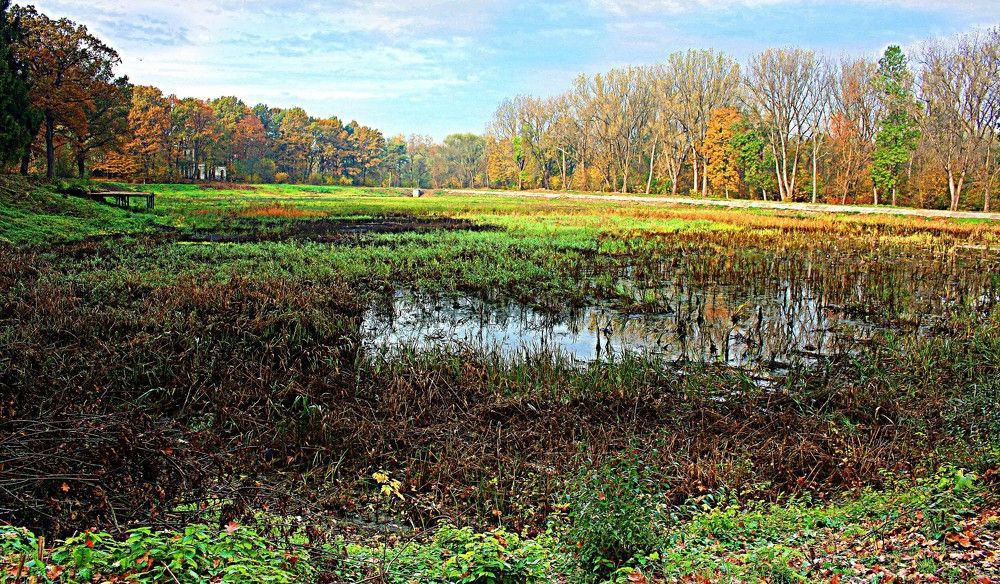 Фотография автора Сергей Рапопорт