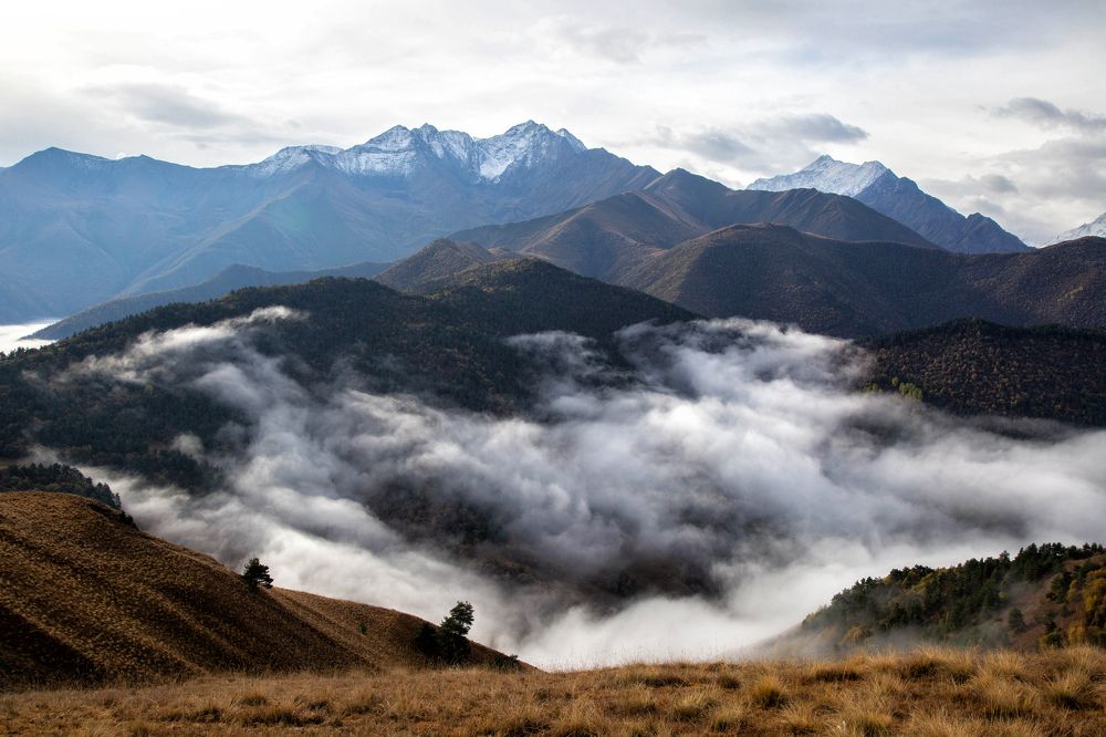 Photograph by Ирина Гентош