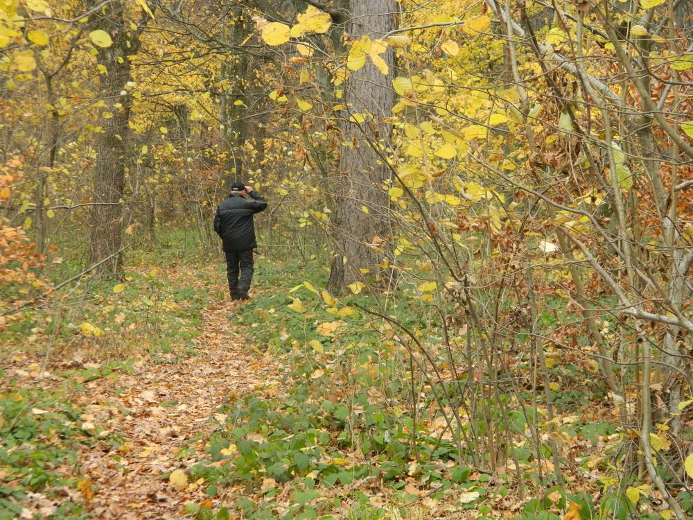 Фотография автора Сергей Рапопорт