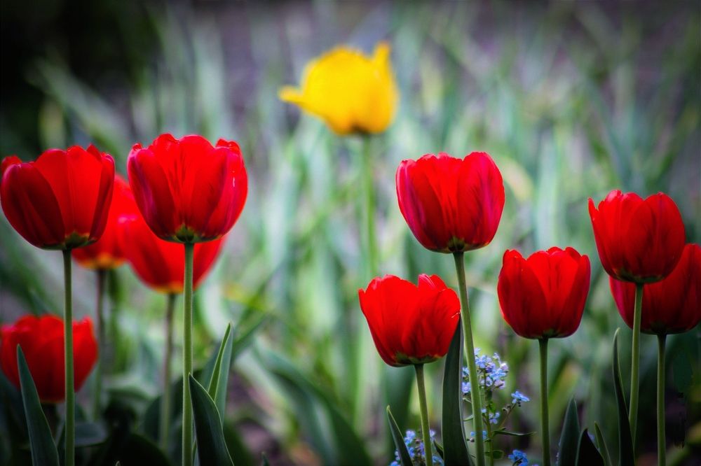 Фотография автора Андрей Потапов