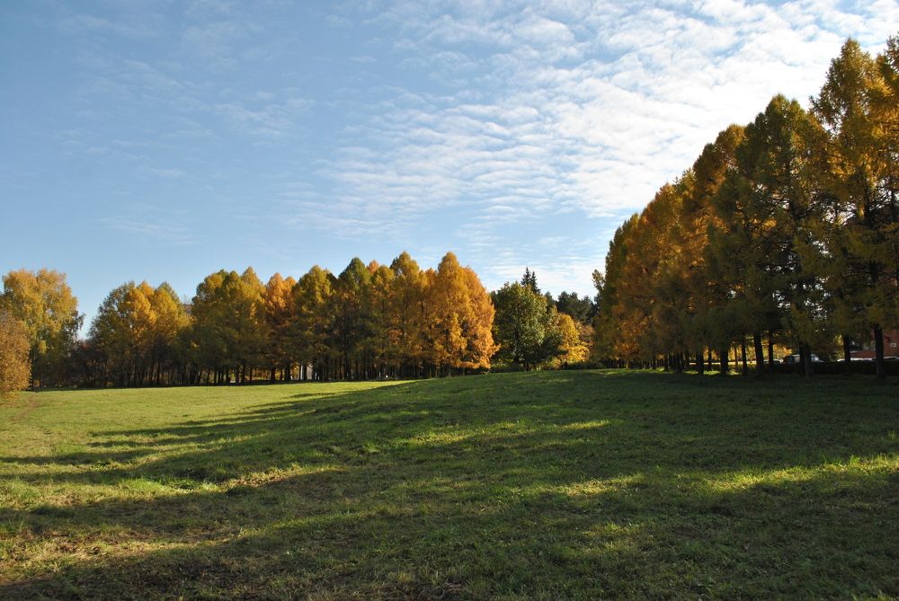 Photograph by Роман Туркин