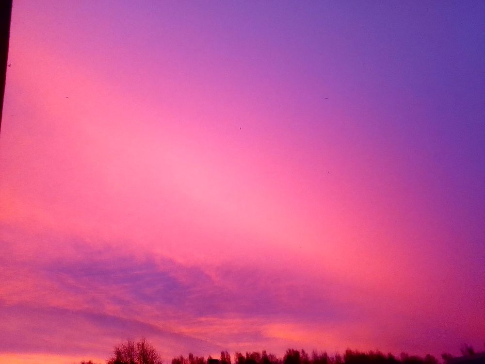 Фотография автора Irina Mihailovskaya