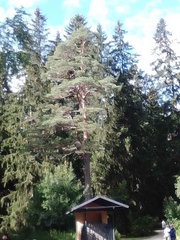 Фотография автора Irina Mihailovskaya