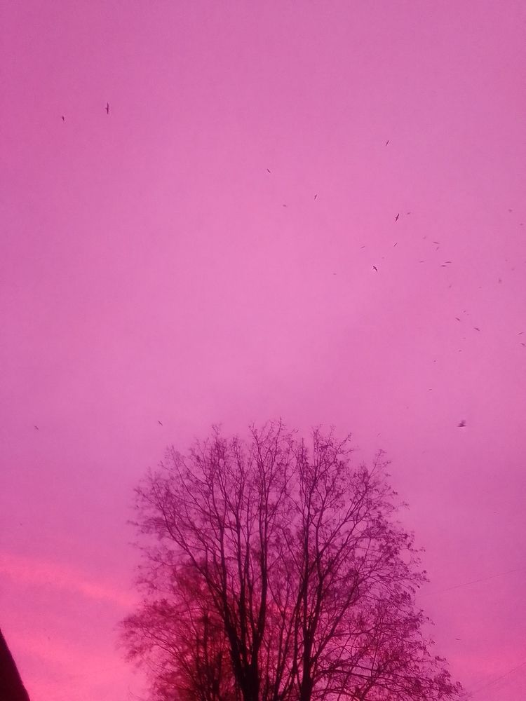 Фотография автора Irina Mihailovskaya