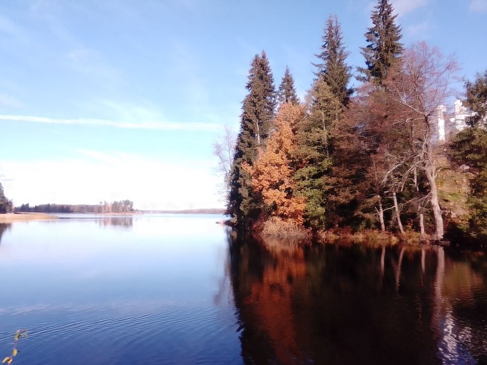 Фотография автора Irina Mihailovskaya