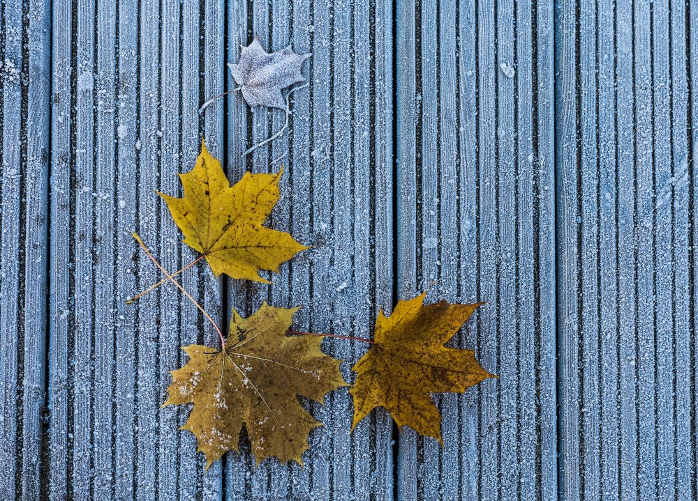 Фотография автора Vladimir Tareev