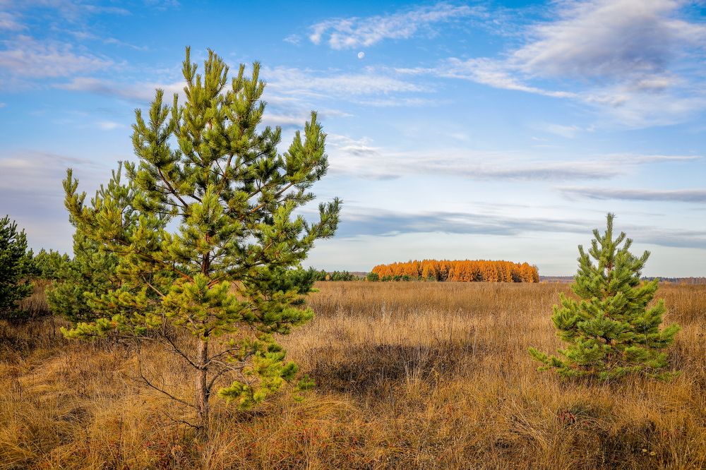 Фотография автора Юрий Фефилов