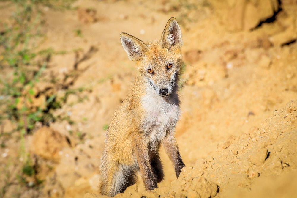 Фотография автора Юрий Фефилов
