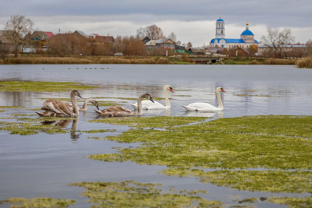 Фотография автора Юрий Фефилов