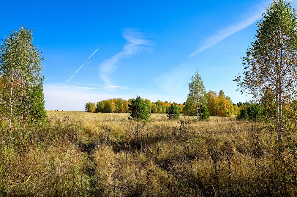 Фотография автора Юрий Фефилов