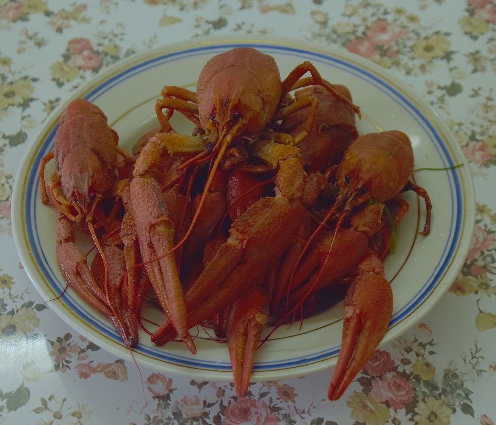 Photograph by Василий Быстрицкий