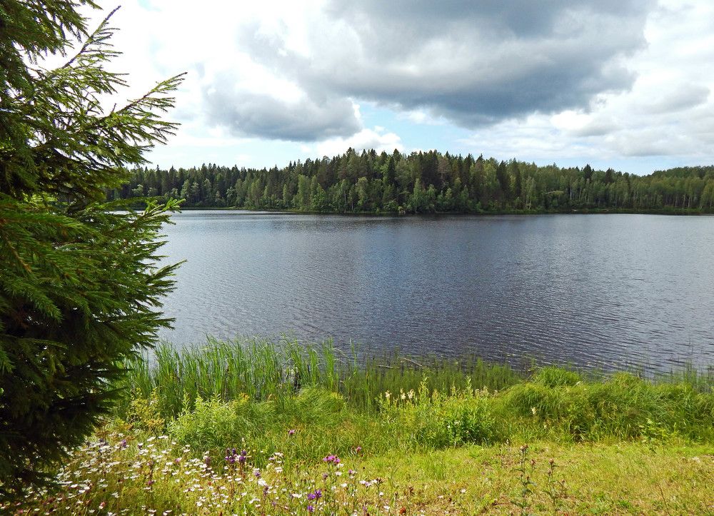 Photograph by Ольга Владимировна Мухина