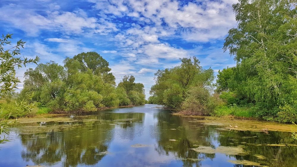 Фотография автора Ivan Karpoff