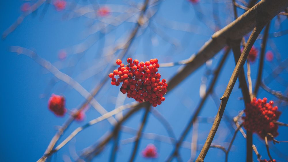 Photograph by Dmitry Dash