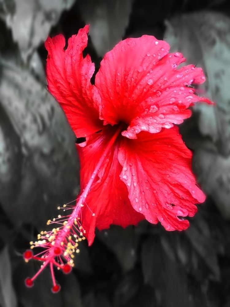 Фотография автора Aklimay Sajor