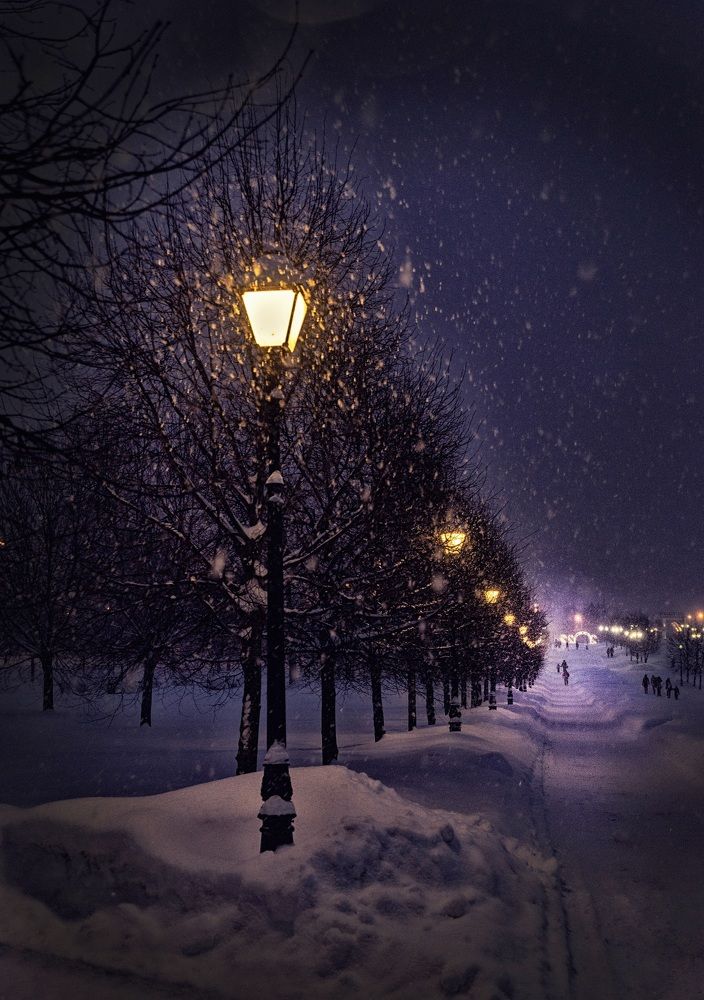 Фотография автора Ольга Попова