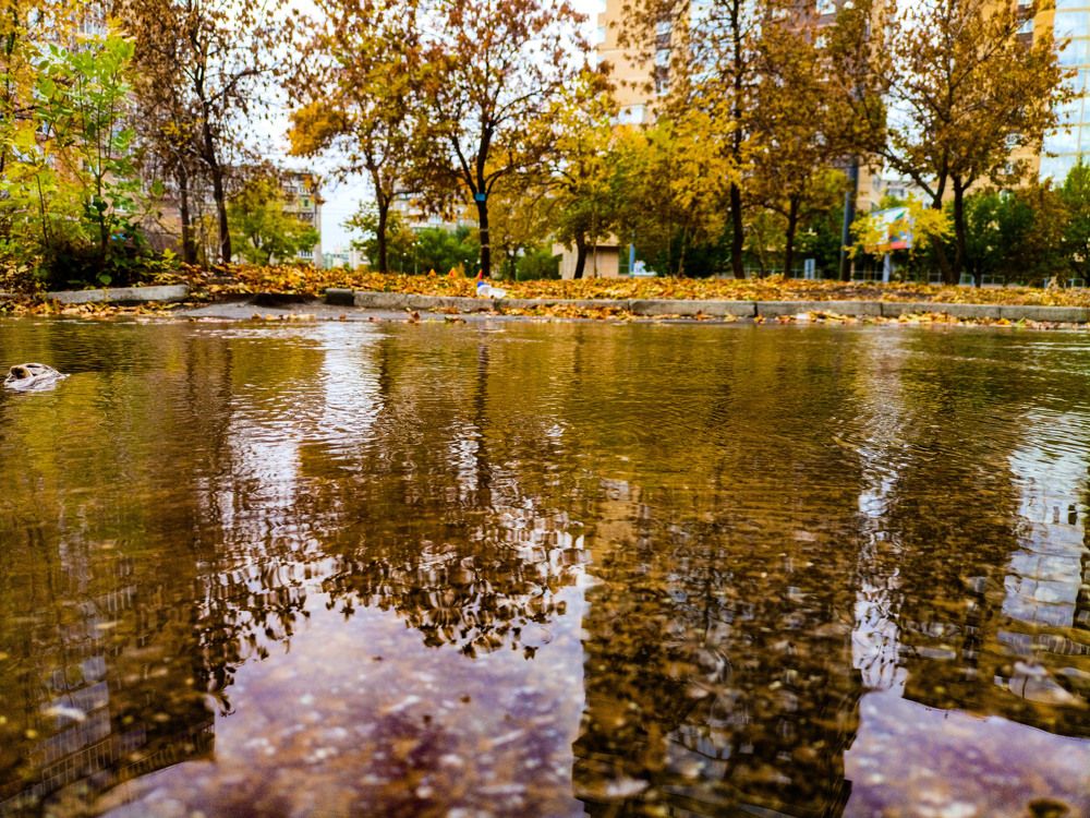 Photograph by Vladimir Voronyuk