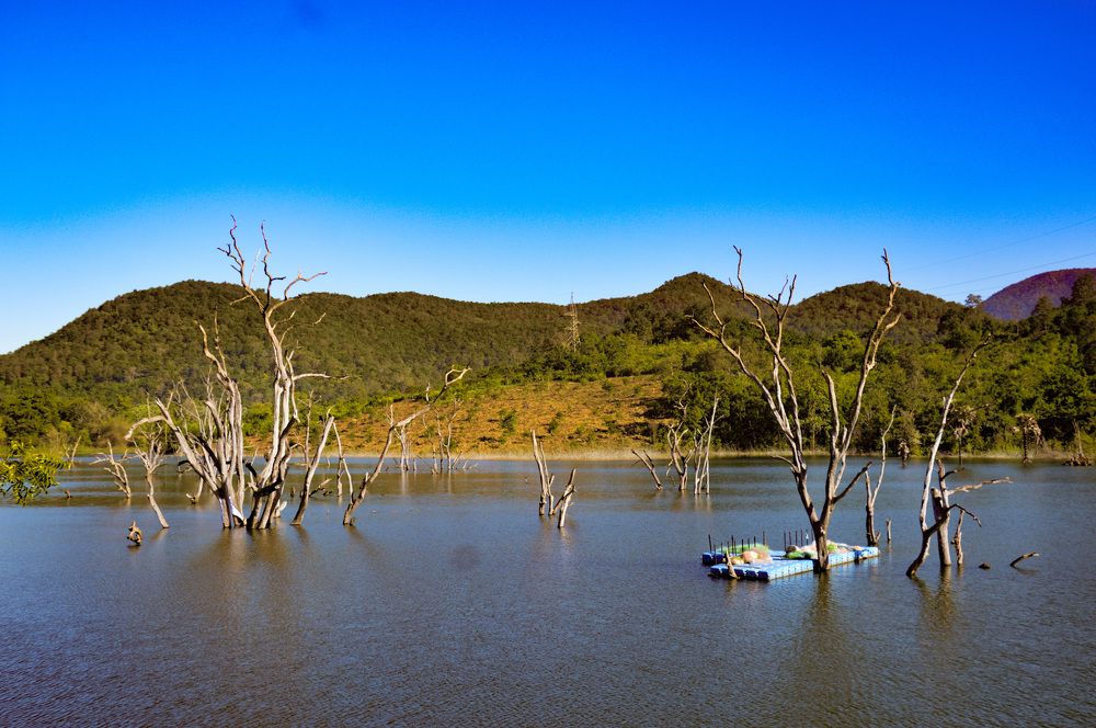 Photograph by Subhadeep Debnath
