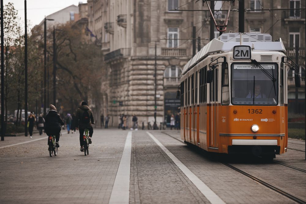 Фотография автора Валерия Витте