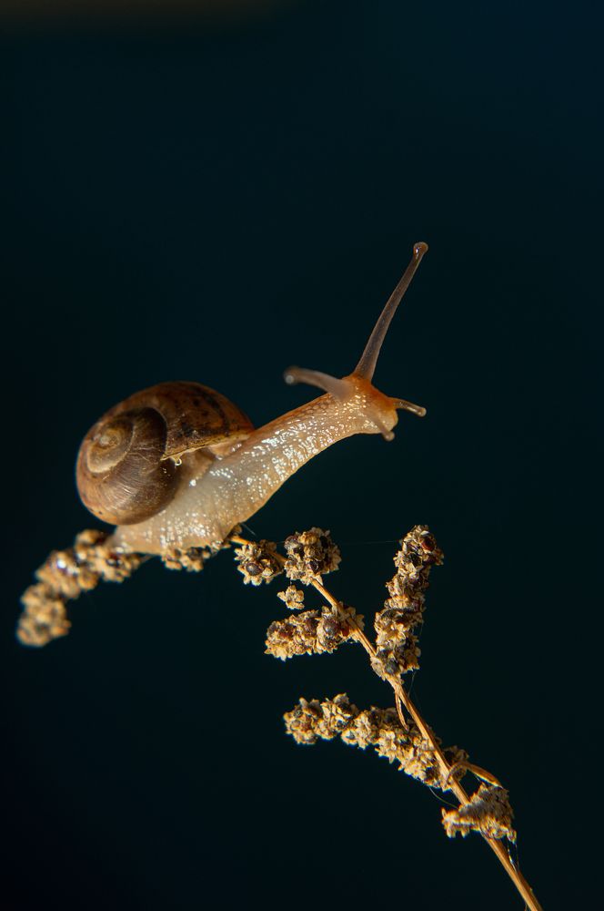 Photograph by Наталья Подмогильная