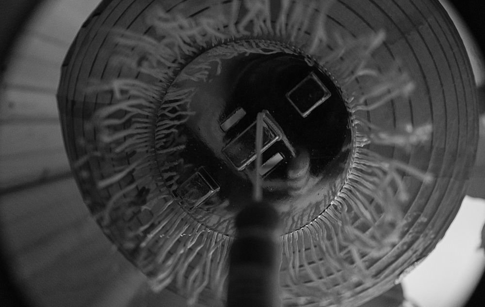 Photograph by Орехова Татьяна