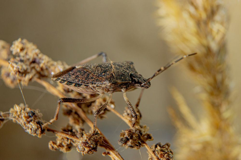 Photograph by Наталья Подмогильная