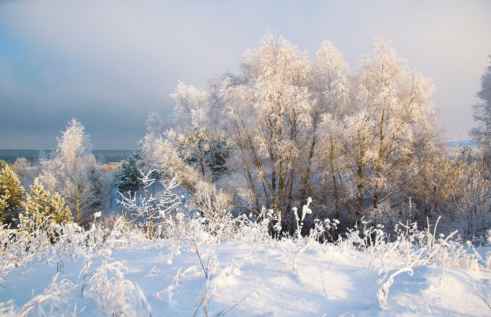 Photograph by Василий Быстрицкий