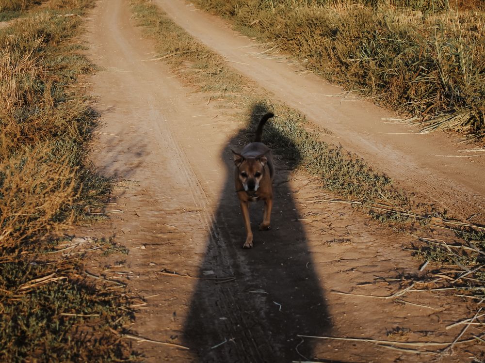 Photograph by Долгушева Татьяна