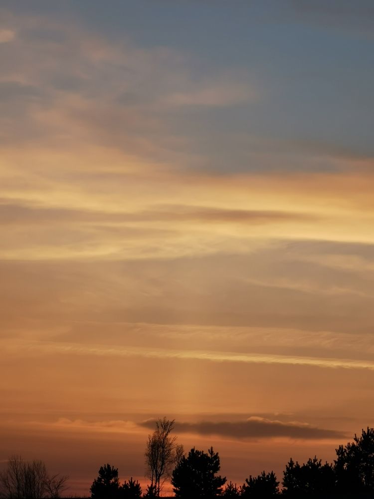 Фотография автора Рутковская Жанна