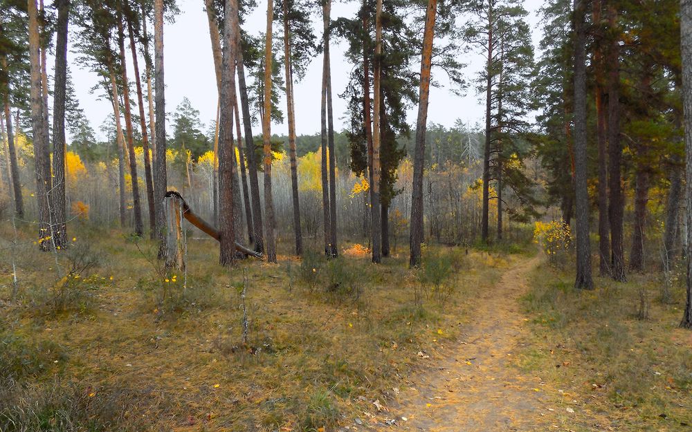 Photograph by Серега Вартман