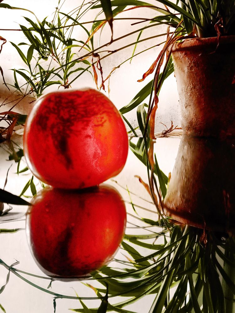 Photograph by Светлана Зубанова