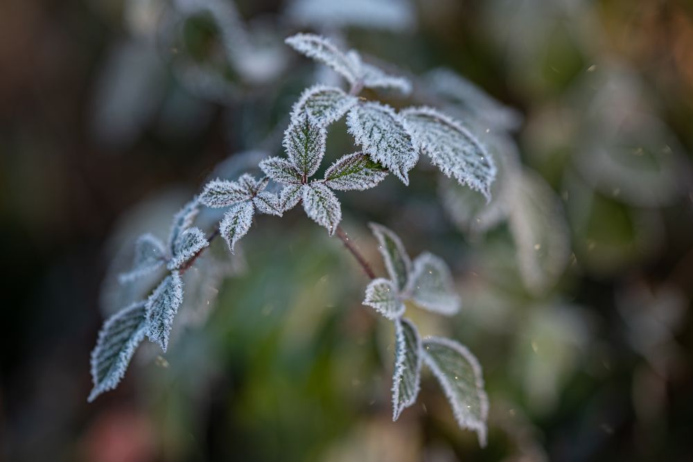 Photograph by Анастасия