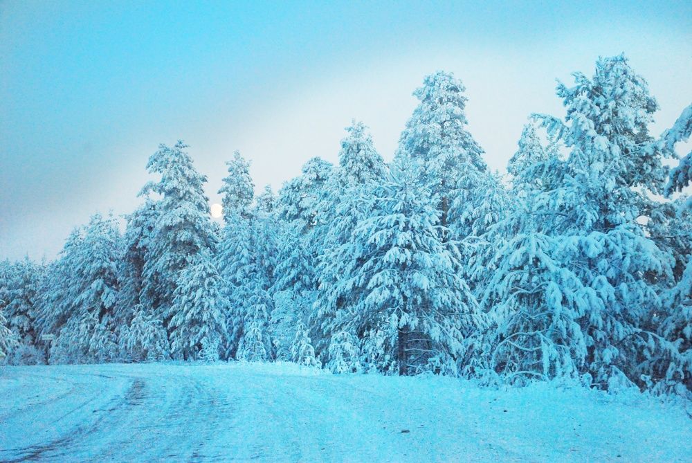 Голубое чувство