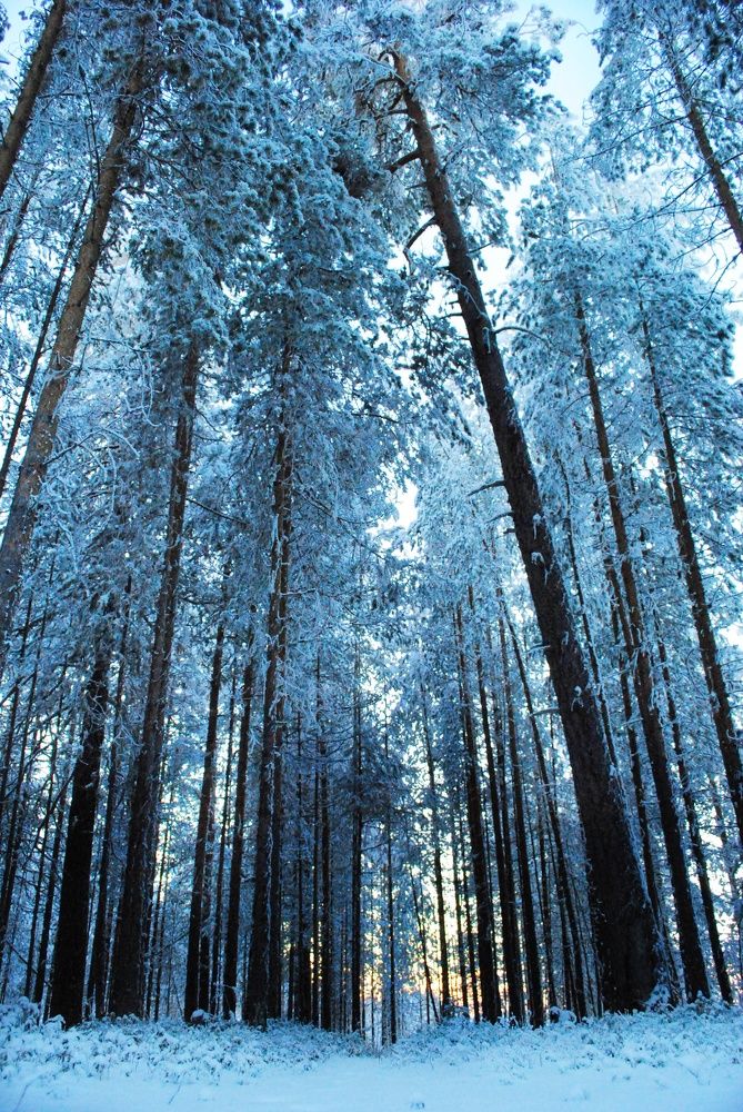 Фотография автора Мария