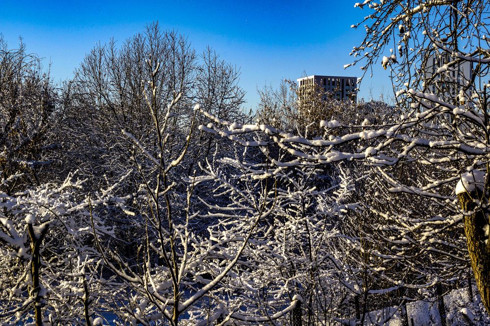 Photograph by Павлов Дмитрий