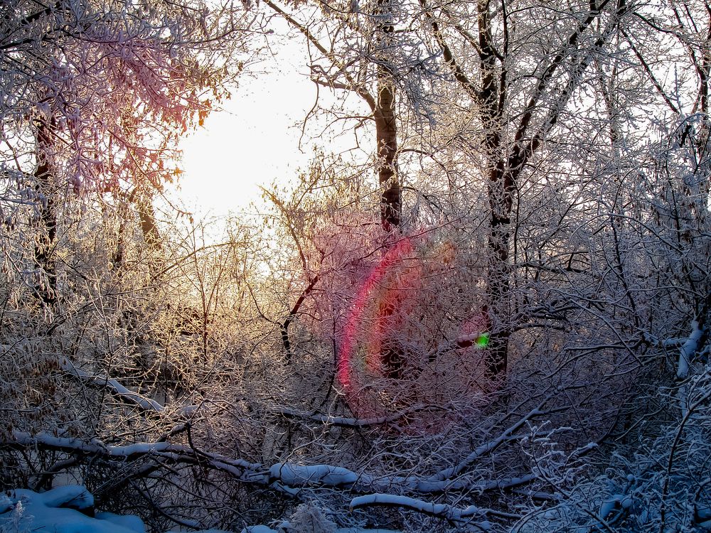 Photograph by Павлов Дмитрий