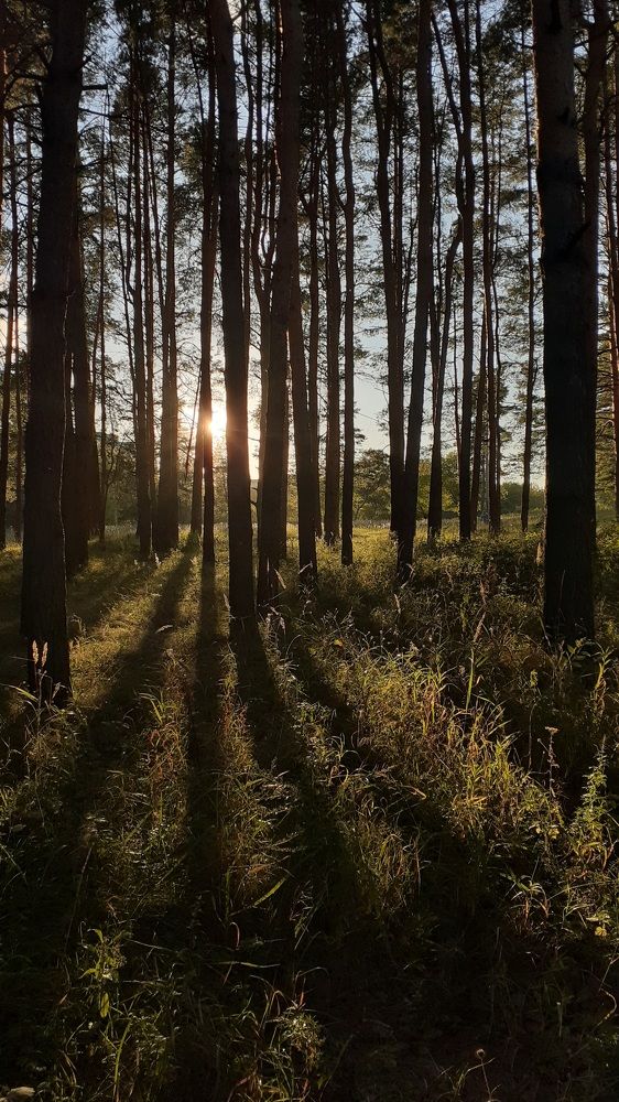 Фотография автора Елена Лещева