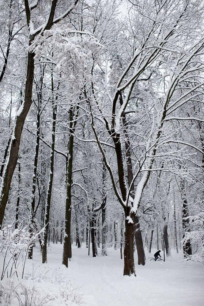 Фотография автора Михаил Копанс
