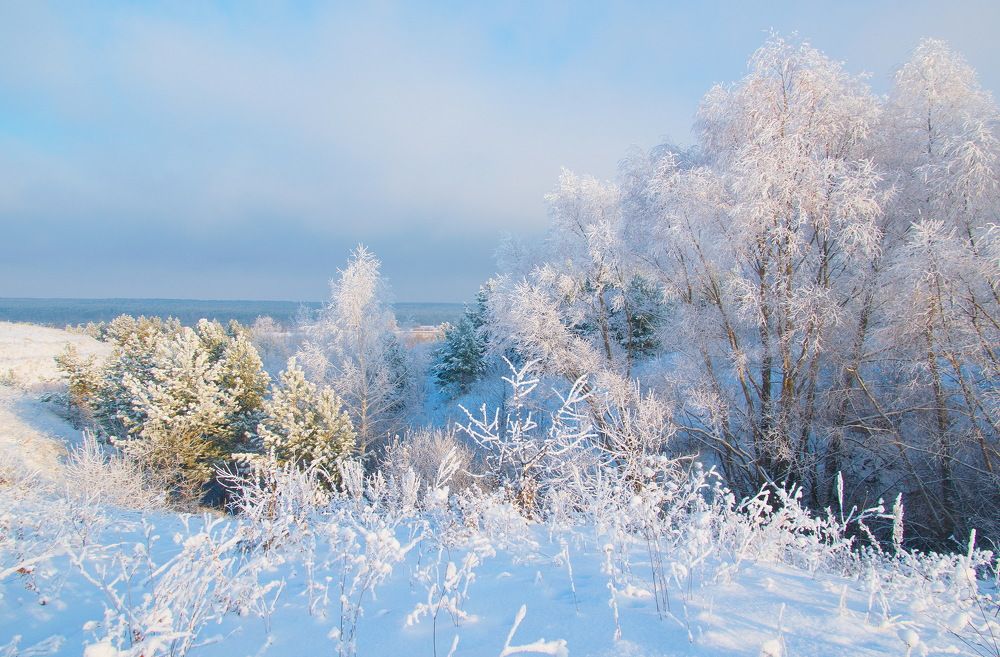 Photograph by Василий Быстрицкий