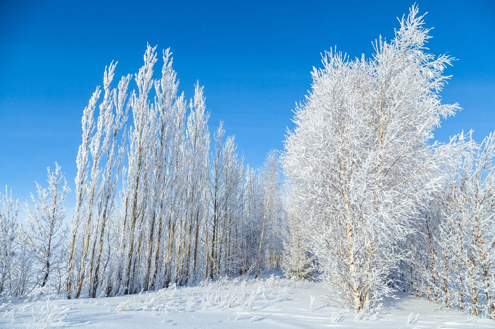 Photograph by Николай Кулагин