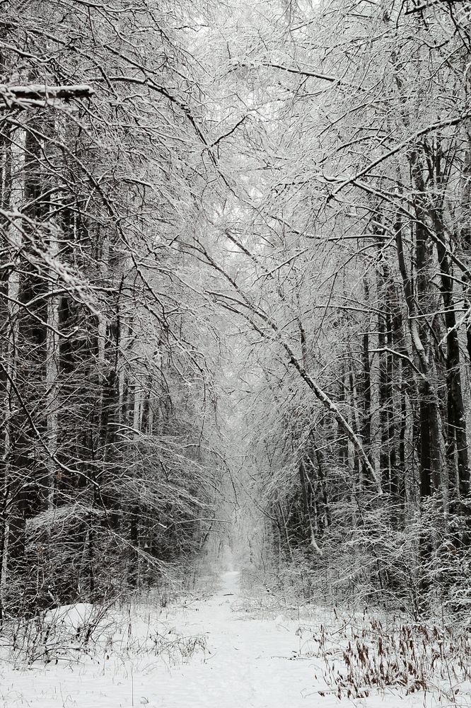 Photograph by Яна Токунова