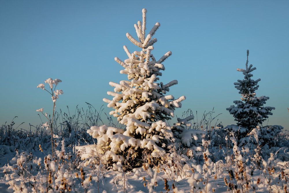 Фотография автора Юрий Фефилов