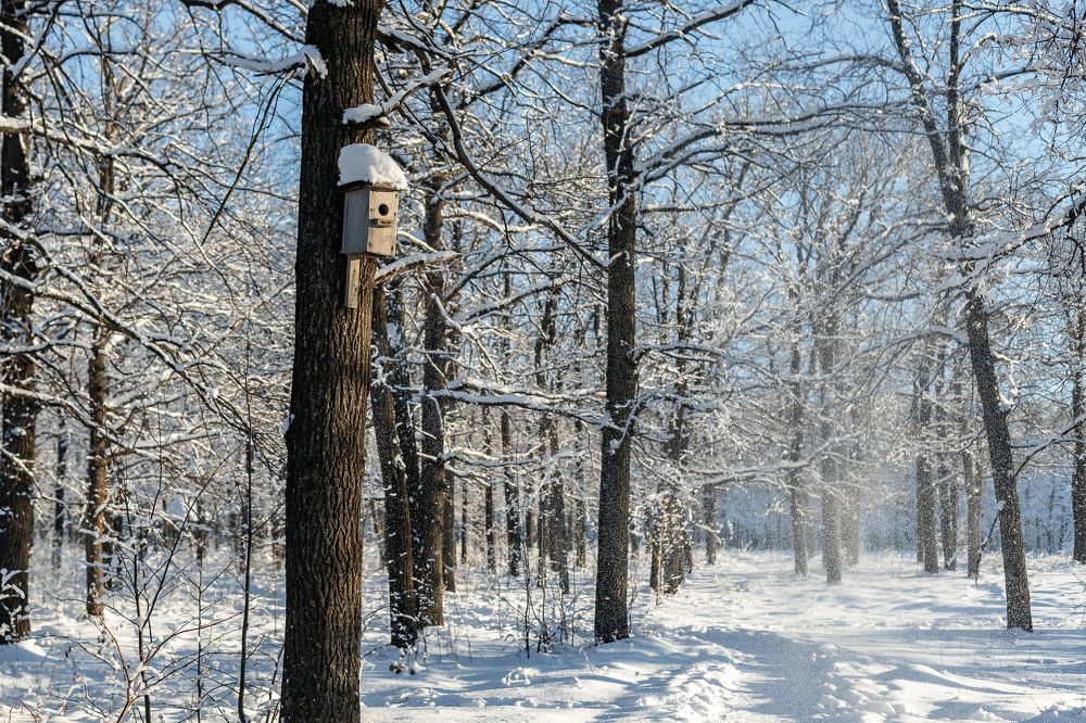 Photograph by Николай Кулагин