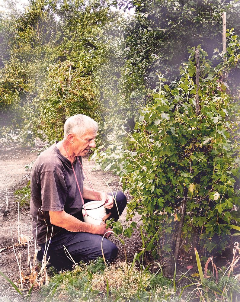 Photograph by Светлана Зубанова