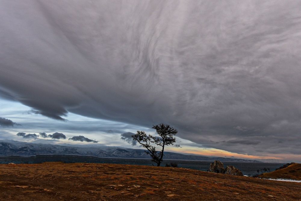 Фотография автора Марина Корреа Ластра
